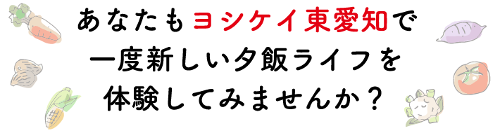 あなたもヨシケイ東愛知で一度新しい夕飯ライフを体験してみませんか？